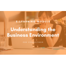 e-Learning module: Understanding The Business Environment